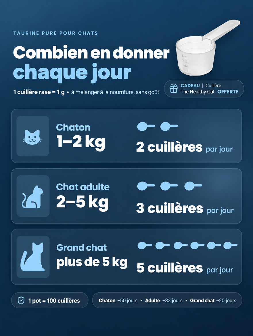 Soutenez l’apport quotidien en taurine de votre chat