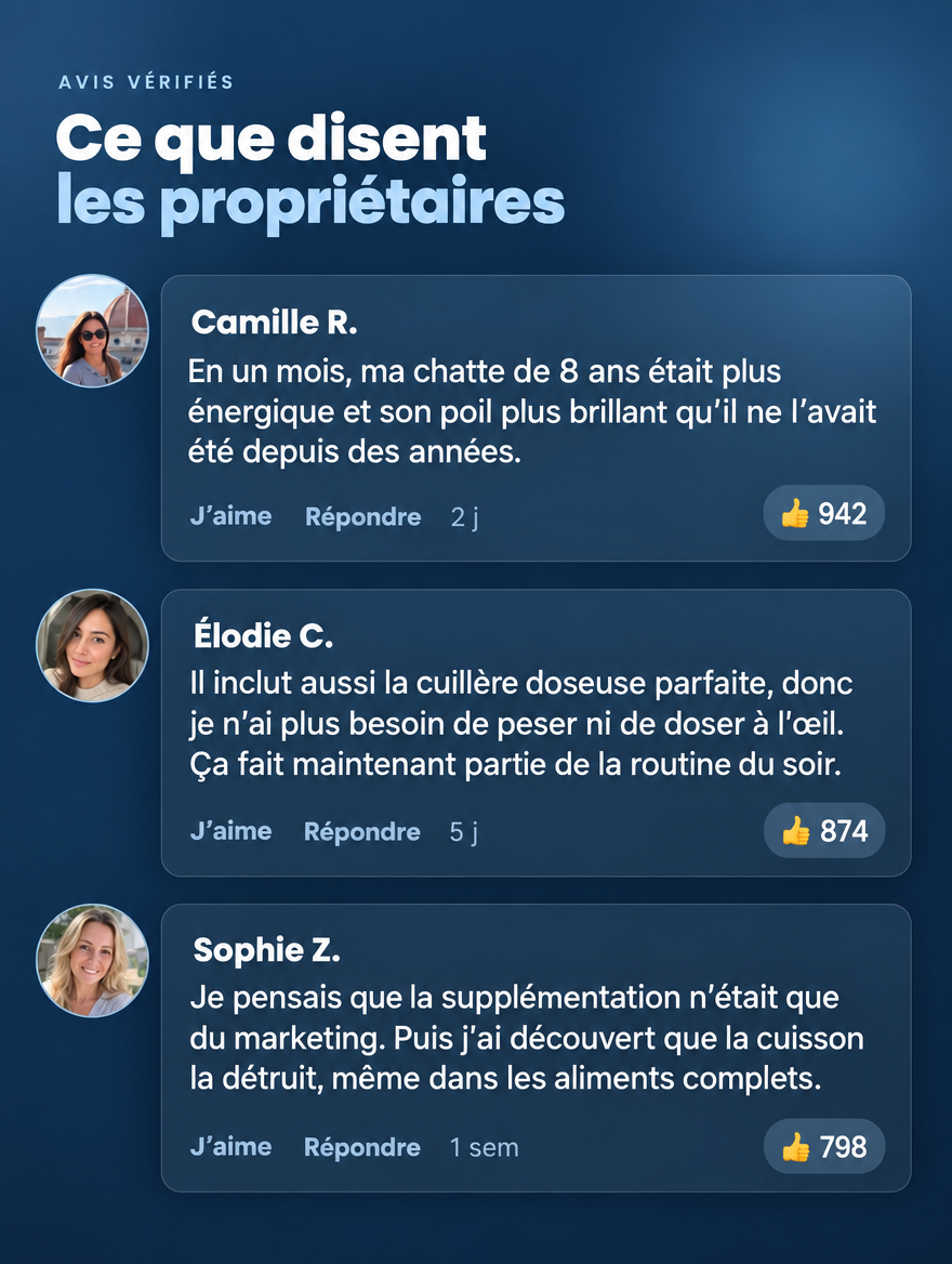 Soutenez l’apport quotidien en taurine de votre chat