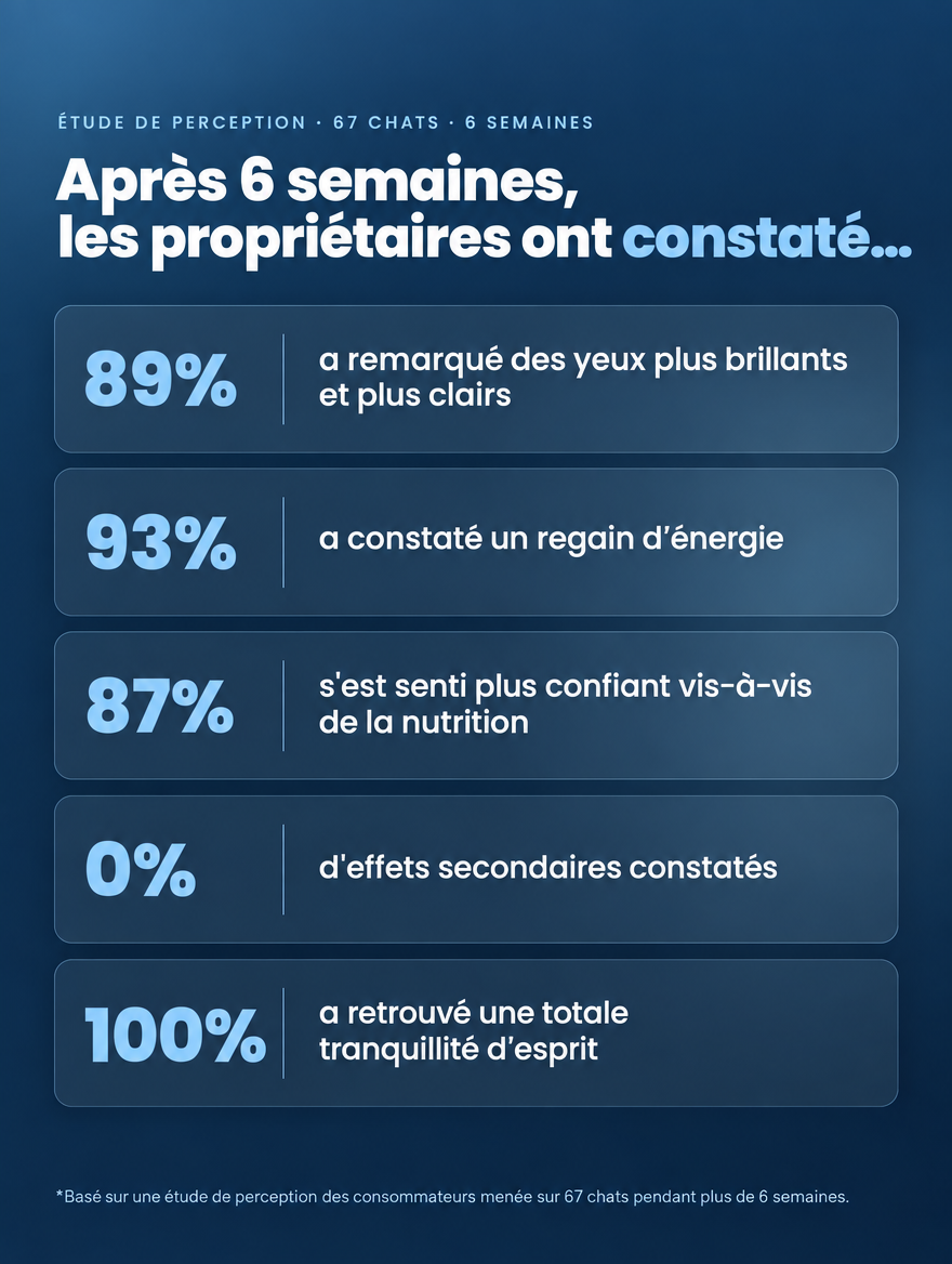 Soutenez l’apport quotidien en taurine de votre chat
